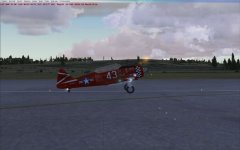 T 6 Lights.jpg