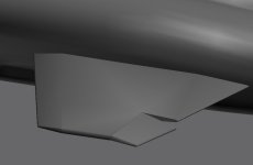 LE Flaps 2.jpg