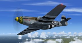Dottie P3D4.jpg