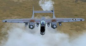 Prowling.jpg