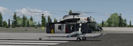 Sea King.jpg