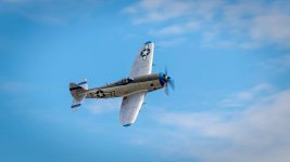 p-47d.jpg