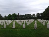 20180527_131118.jpg