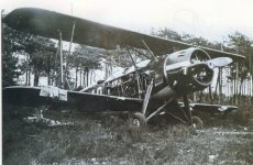 SOH-91.jpg