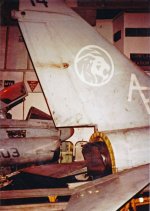 314 tail (2).jpg