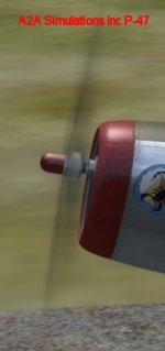 P-47 closeup.jpg