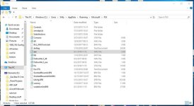 fsx cfg folder.jpg