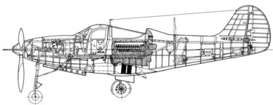 P-39 SideReference.jpg