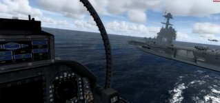 5scorp.jpg