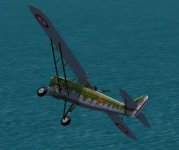 anf117.jpg
