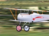 N17Belg-6.jpg