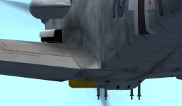 wing root.jpg