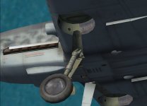 LG 1.jpg