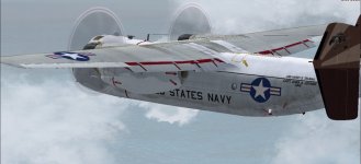 VRC 40 CAG Bird 3.jpg