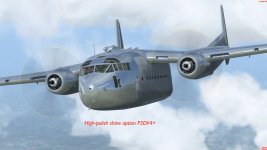 P3DV4_polish.jpg
