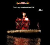 Christmas on the bayou_SOH.jpg