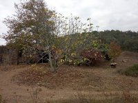 IMG_20181107_152328.jpg