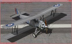 shadow1.jpg