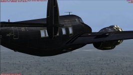 Black n Gold.jpg