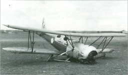 SOH-146.jpg