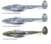 F-4s_RAAF.jpg