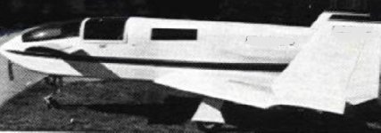 quiz canard- kopie.jpg