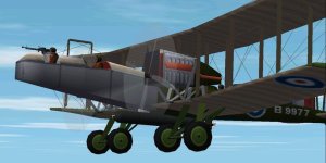 Kangaroo1.jpg