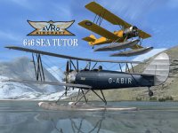 646_Sea Tutor.jpg