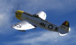 P-47D30 PBR3.jpg
