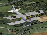 Pfalz_DIIIa_Kuring.jpg