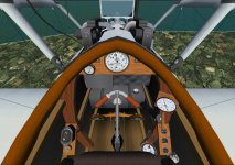 Pfalz_DIIIa_cockpit.jpg