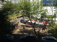 IMG_1759_cr.jpg