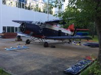 IMG_1761_cr.jpg