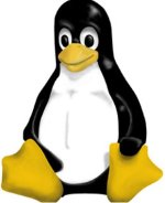 Linux.jpg