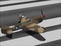 P-40F-5_Painted.jpg