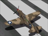 P-40F-5_Stab.jpg