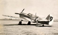 Big G - P-40 - large.jpg
