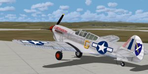 P40 Liberaiders.jpg
