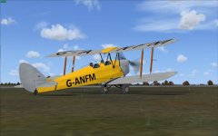Ants pro G-ANFM.jpg
