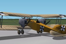 Albatros Day 2.jpg
