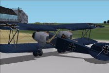 Alb-3-3.jpg