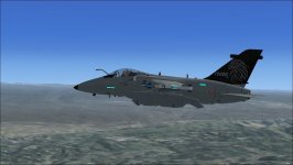 amx.jpg
