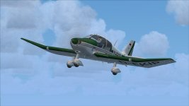 Robin_08.jpg