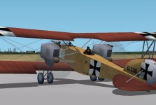 Albatros-1.jpg