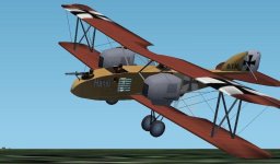 Albatros-3.jpg
