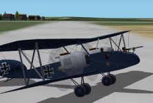 Albatros-4.jpg