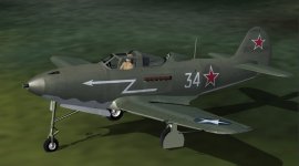 sim_p-39_aaa.jpg