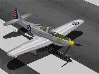 P-39CEJ_SCASMEdits.jpg