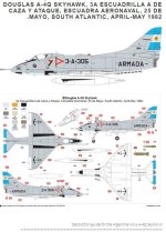Paint SchemeArgentian Skyhawk.jpg