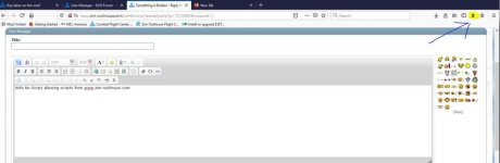 NoScript-Allowed.jpg